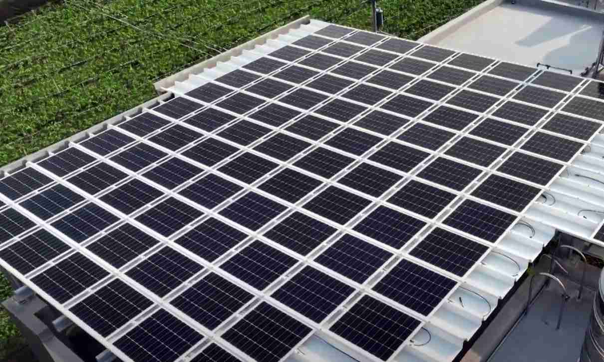 YAXIN111SunSteel光电浪板升级双玻结构，，，以提升机械负载强度及气候耐候度，，可广泛运用于多元场域